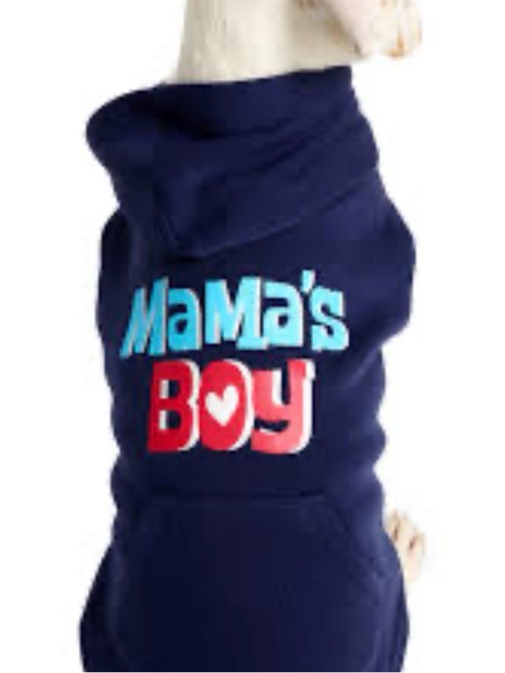 Youly Mama's Boy Navy Dog Hoodie